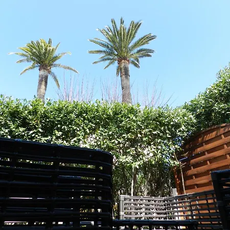Grand Studio/terrasse Coeur De St Tropez Apartment Saint-Tropez