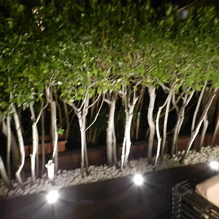 Apartment Grand Studio/terrasse Coeur De St Tropez